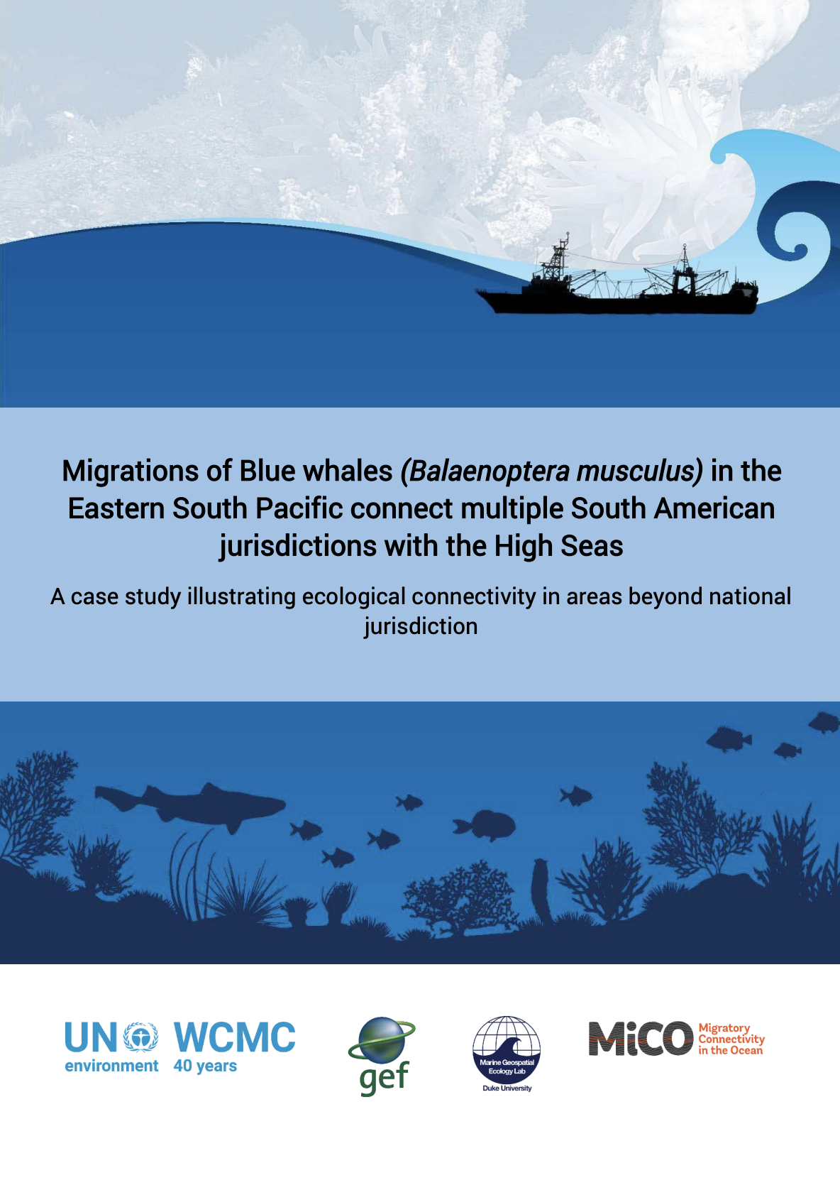 Migrations of Blue whales (Balaenoptera musculus) in the Eastern South Pacific connect multiple South American jurisdictions with the High Seas