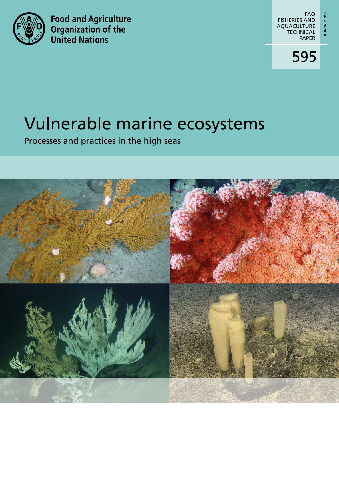 Vulnerable marine ecosystems: Processes and practices in the high seas